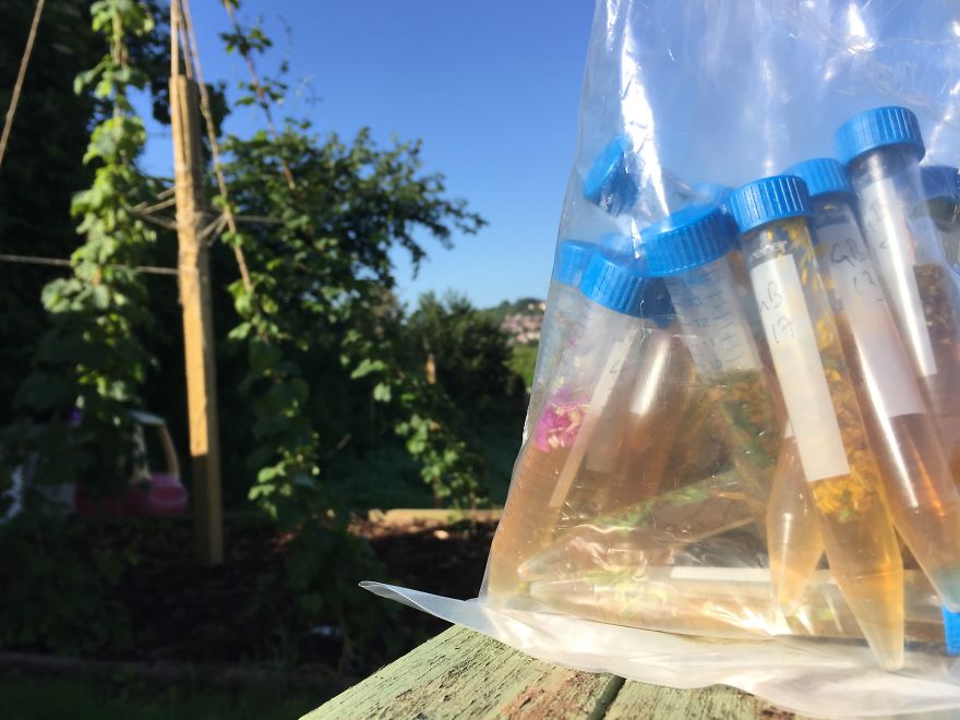 I've Spent 1 Year Growing My Own Beer