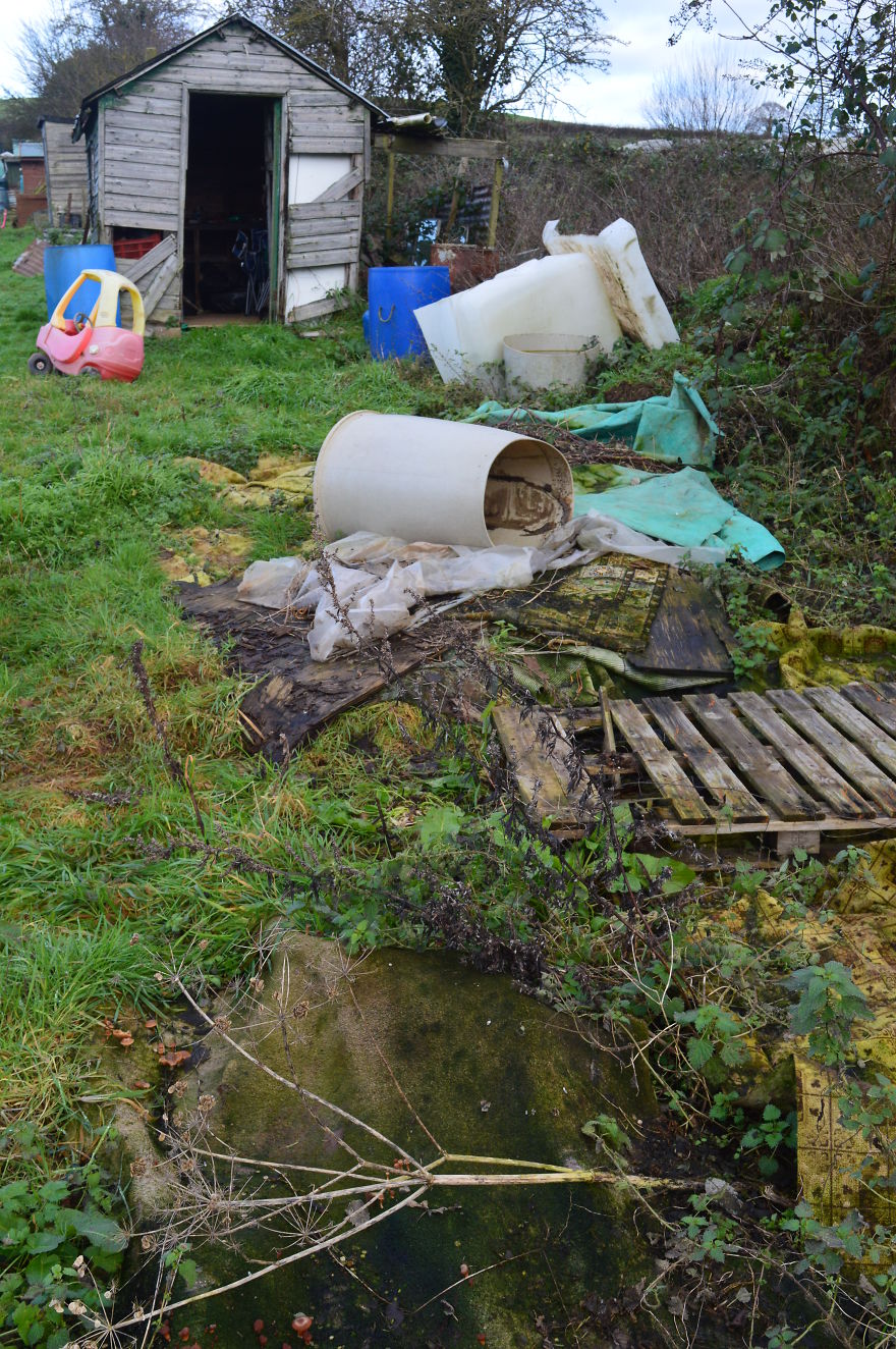 I've Spent 1 Year Growing My Own Beer I've Spent 1 Year Growing My Own Beer