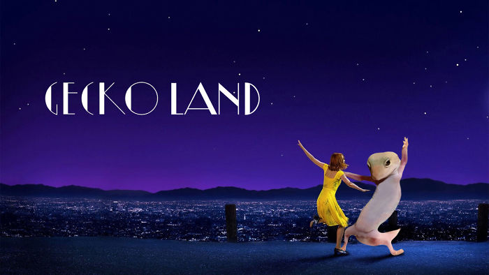 The Fools Who Dream.