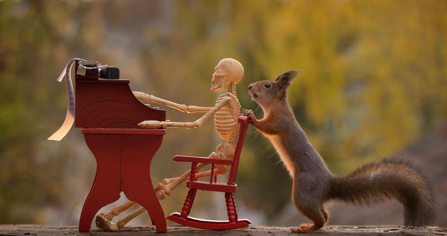 Here's How Squirrels Celebrate Halloween Here's How Squirrels Celebrate Halloween
