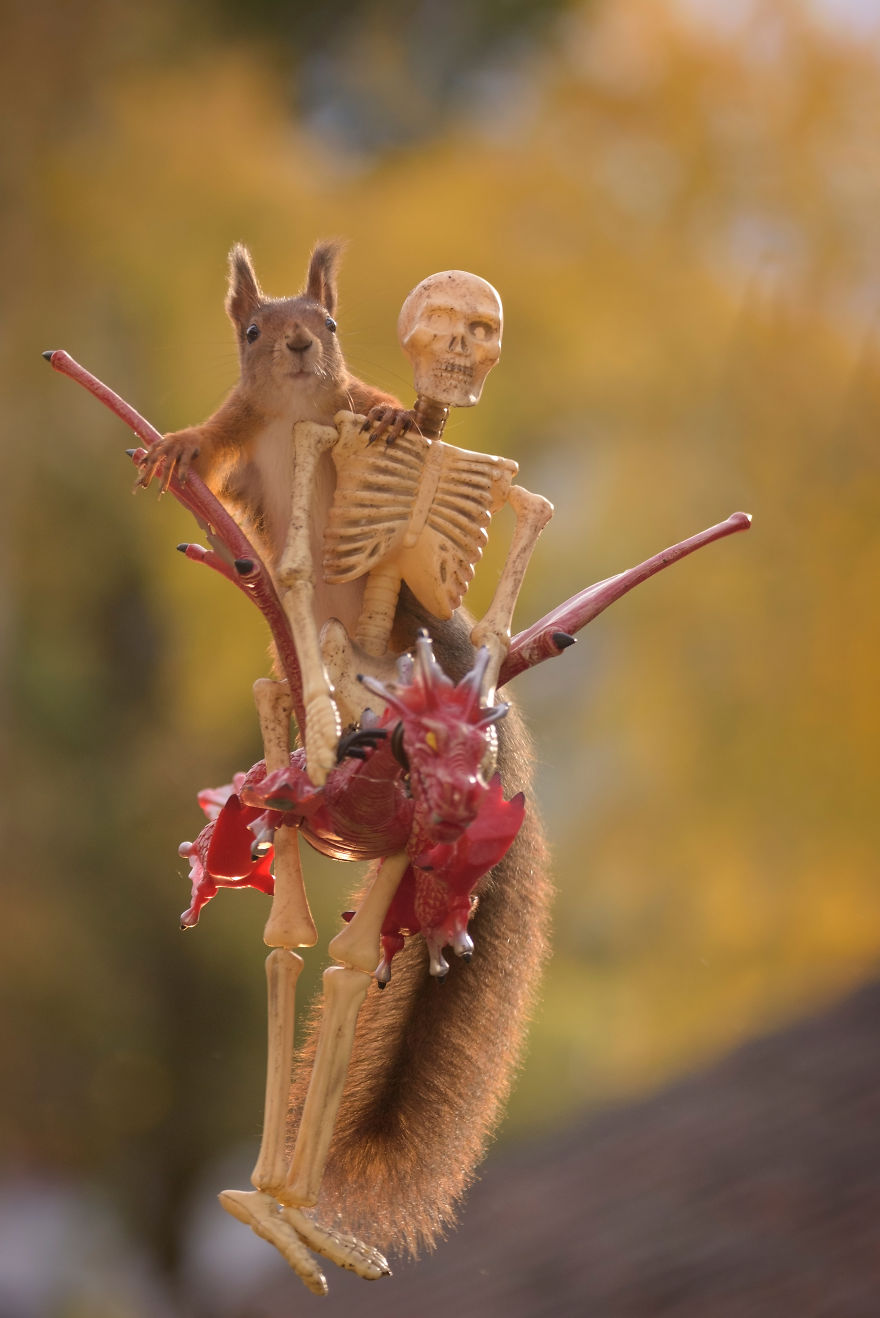 Here's How Squirrels Celebrate Halloween Here's How Squirrels Celebrate Halloween