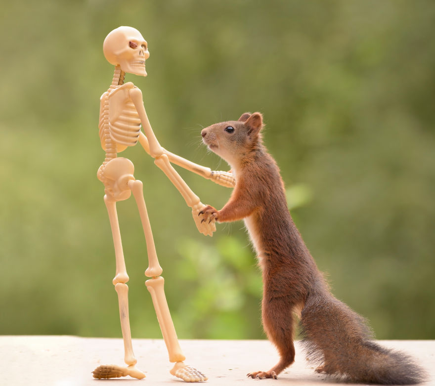 Here's How Squirrels Celebrate Halloween Here's How Squirrels Celebrate Halloween