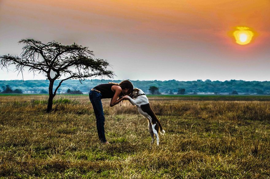 Meet Ginger, A Scared Security Dog From Zambia Who Became A World Traveler