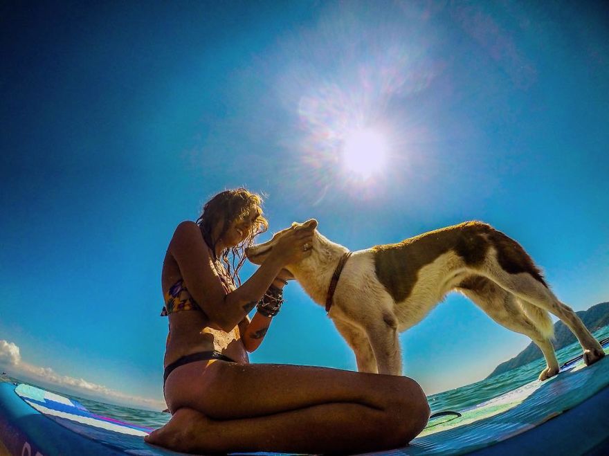 Meet Ginger, A Scared Security Dog From Zambia Who Became A World Traveler Meet Ginger, A Scared Security Dog From Zambia Who Became A World Traveler
