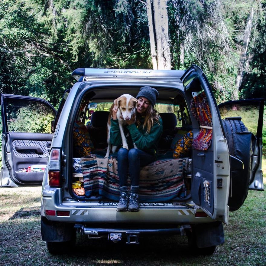 Meet Ginger, A Scared Security Dog From Zambia Who Became A World Traveler