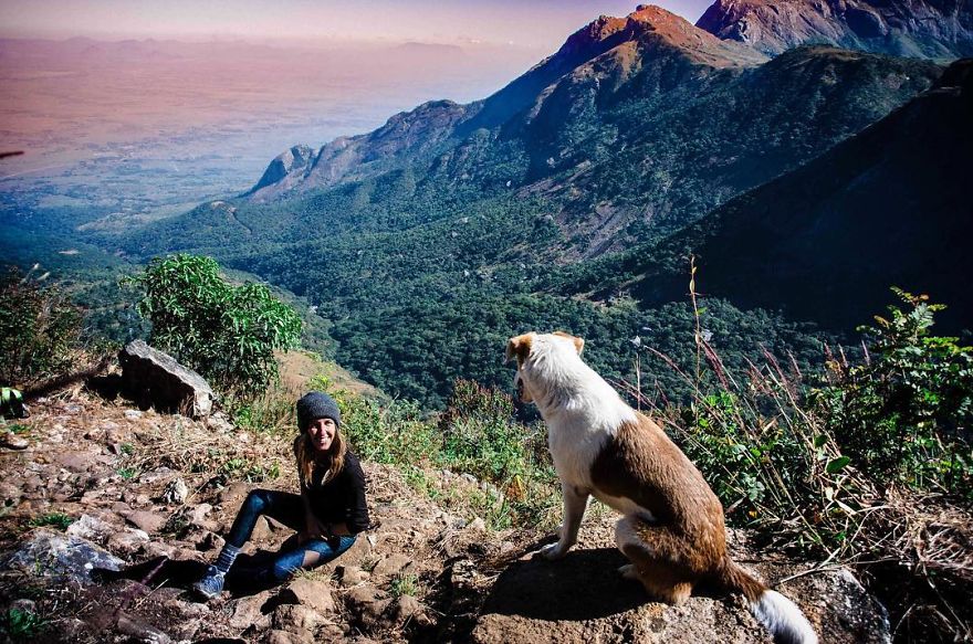 Meet Ginger, A Scared Security Dog From Zambia Who Became A World Traveler