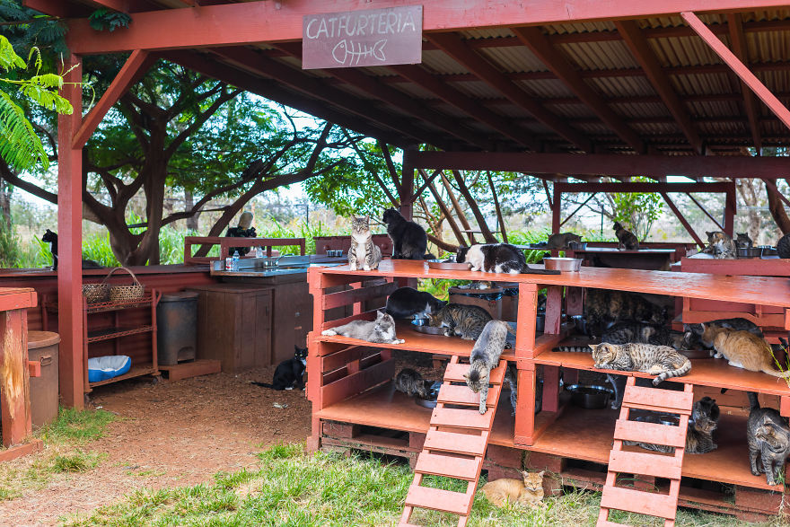 Heaven Is A Place On Earth, And I Went There Heaven Is A Place On Earth, And I Went There