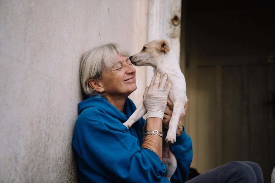 Helen's House Of Hope: A New Life For The Abandoned And Mistreated Dogs Of Bulgaria