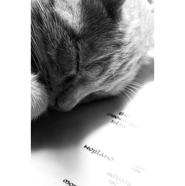 Helpful Paws In My Workshop, Part 2