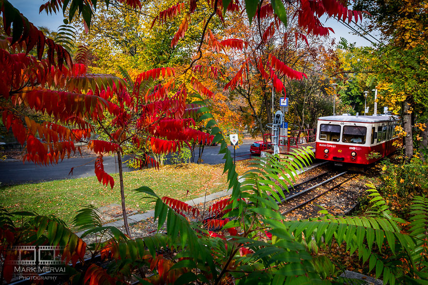 I Capture Places In Budapest During Autumn And The Result Is An Amazing "Game Of Tones"