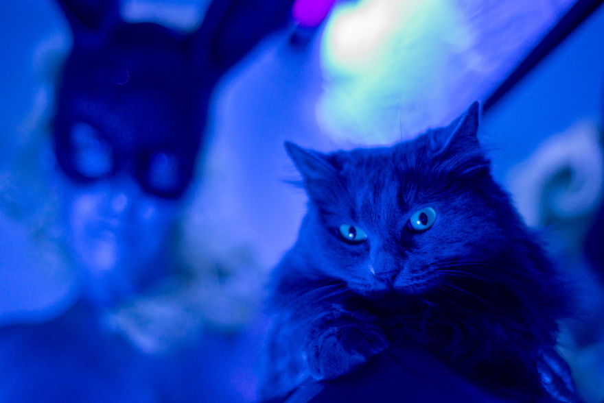 I Created Neon UV Photography To Help Me Cope With My Traumatic Brain Injury After A Drunk Driver Changed My Life (NNFW) I Created Neon UV Photography To Help Me Cope With My Traumatic Brain Injury After A Drunk Driver Changed My Life (NNFW)