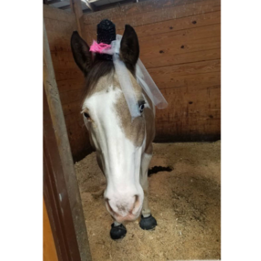 I Designed Some Crocheted Hat Headbands And One Of My Pattern Testers Made Them So Much More Awesome By Putting Them On Her Horses.