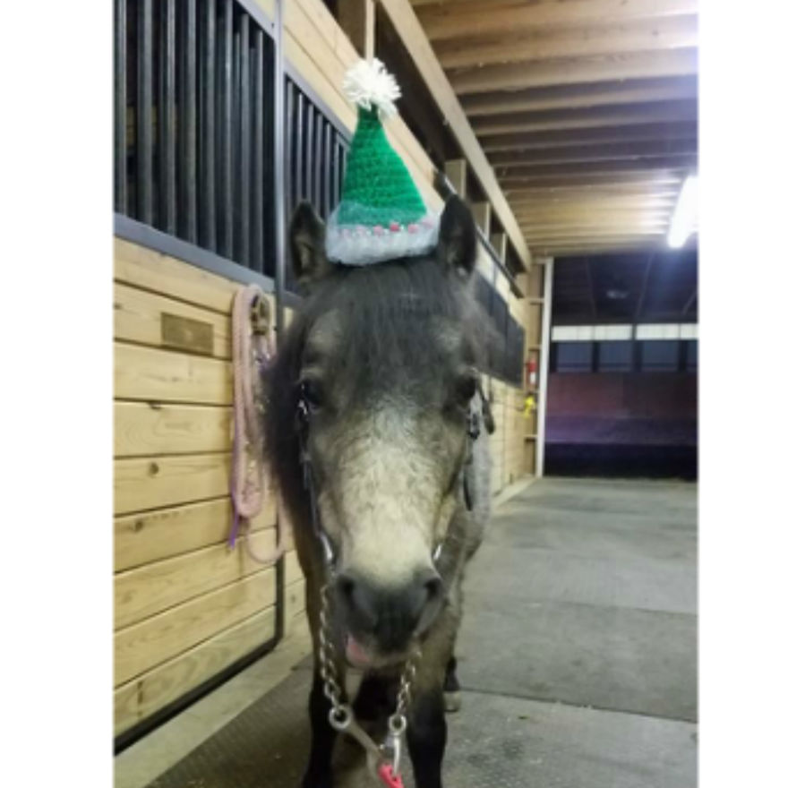 I Designed Some Crocheted Hat Headbands And One Of My Pattern Testers Made Them So Much More Awesome By Putting Them On Her Horses.