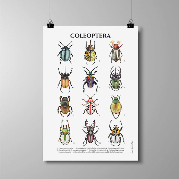 I Draw Animal Posters Using Pencils And Watercolors