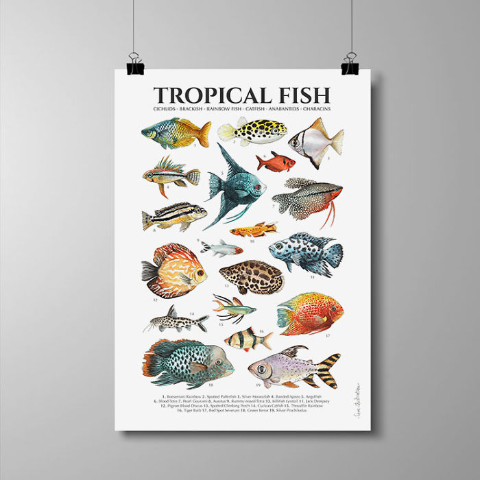 I Draw Animal Posters Using Pencils And Watercolors