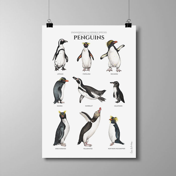 I Draw Animal Posters Using Pencils And Watercolors