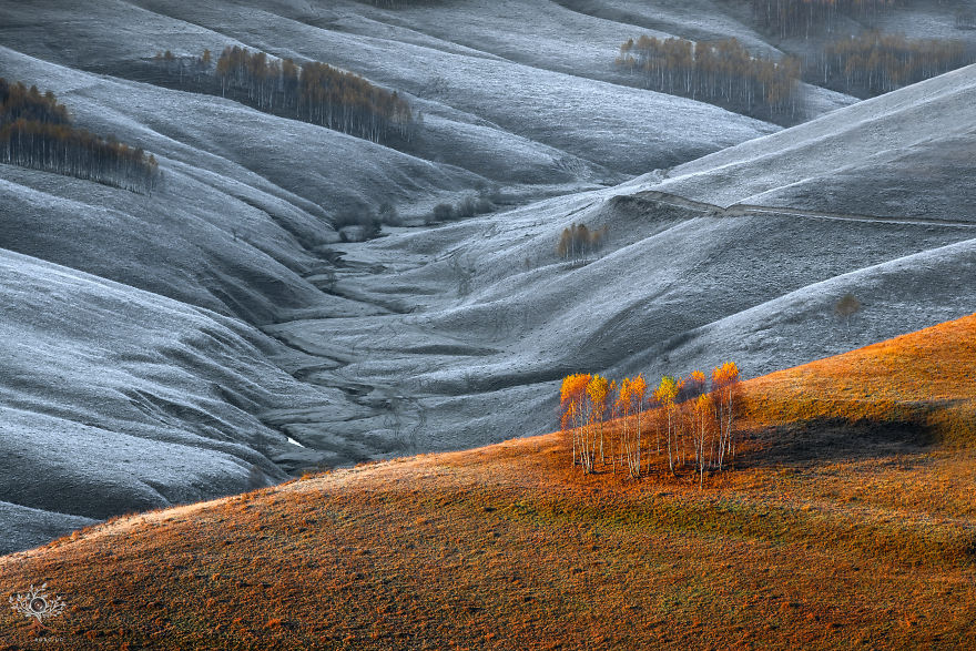 I Photographed The Half-Mythical Land Of Transylvania.