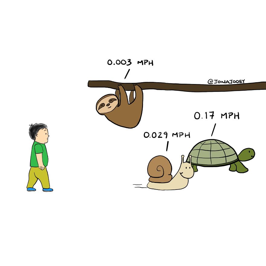 The Slowest Animal On The Planet?