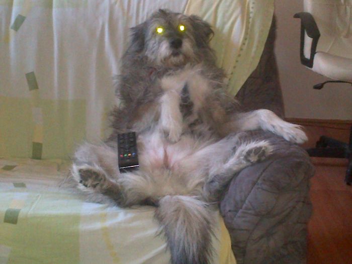 My Girl`s Watching Some Tv