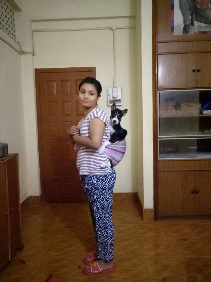 Jenny Thinks He Is A Baby So I Should Always Take Her In My Back...