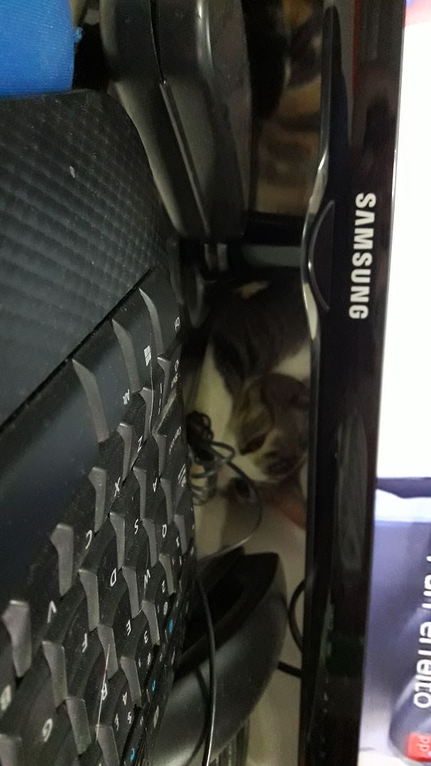 Everytime She Enters My Room, She Gets Behind The Frickn' Tv