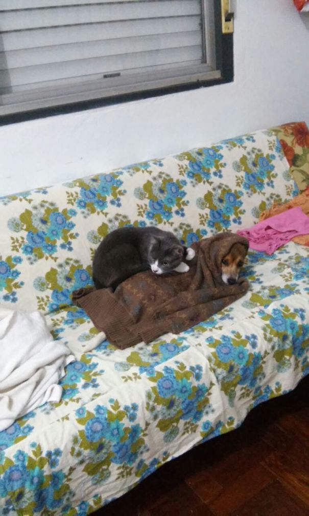 Because There Is No Places To Stay, Right?