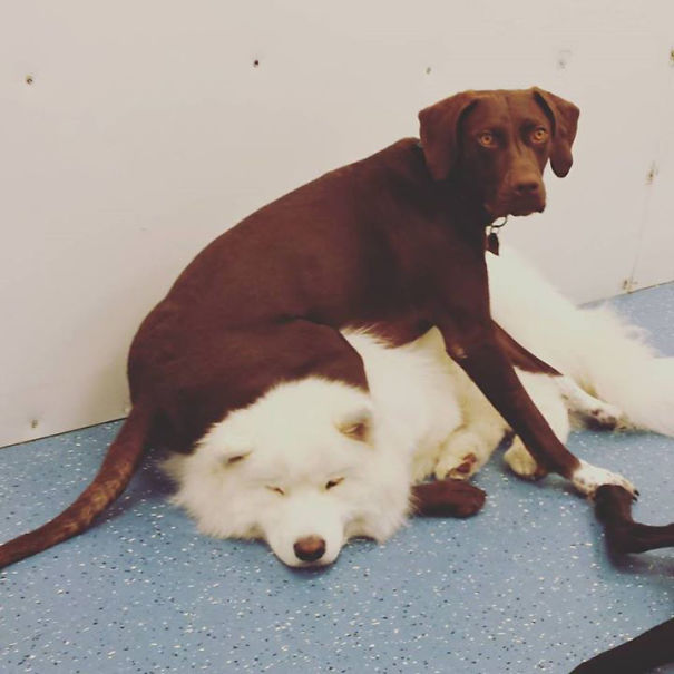 Top Of Her Class In Daycare