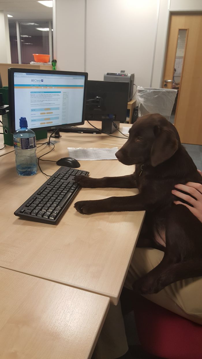 Working Hard Or Hardly Working...