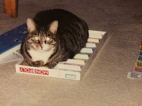 Let Me Get In On This Game!