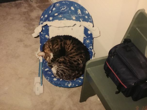 Sorry, There's No Room For That Baby Of Yours!