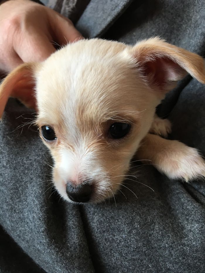 My Beautiful Daisy The Day I Met Her.