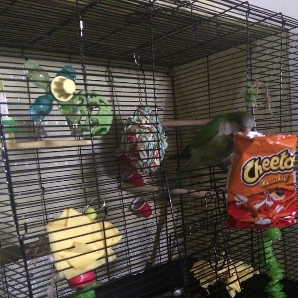 Excuse Me... I Wasn't Finished With Those!!