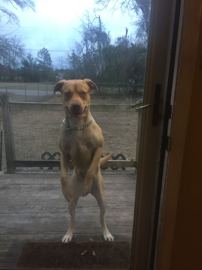 What Are You Guys Doing In There? Let Me In!