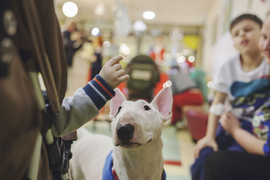 We Followed Local Canistherapy Center Team To Senior Foster Homes And Children Hospitals For Two Years To Document People Emotions We Followed Local Canistherapy Center Team To Senior Foster Homes And Children Hospitals For Two Years To Document People Emotions