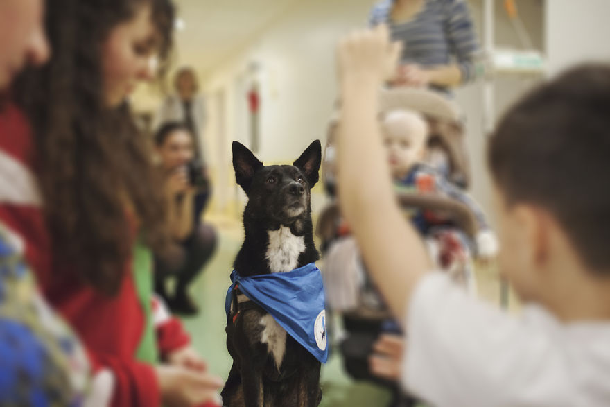 We Followed Local Canistherapy Center Team To Senior Foster Homes And Children Hospitals For Two Years To Document People Emotions