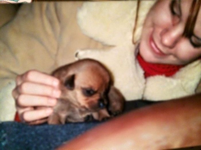 Only 3 Days Old I Met My Page. She's Now 15.