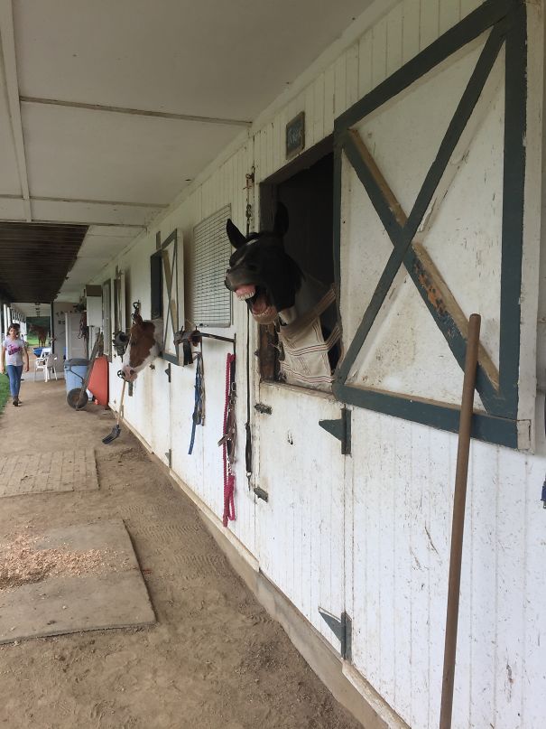 Yeah, Joker, Love You Too. -_-