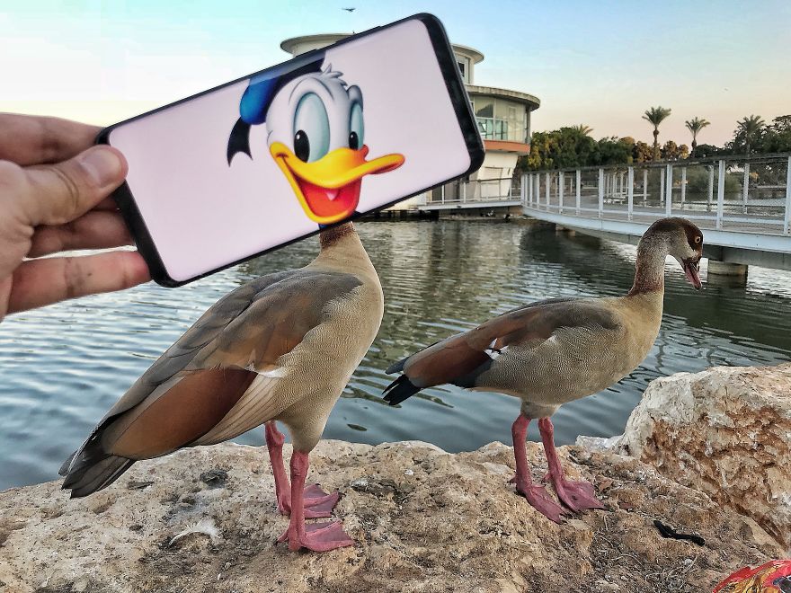 Bringing Everyday Objects To Life With My Smartphone (Part 7)