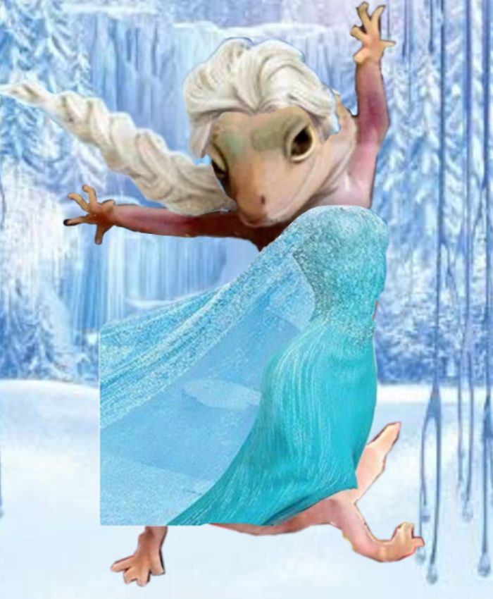 Let It Go, Let It Gooo.