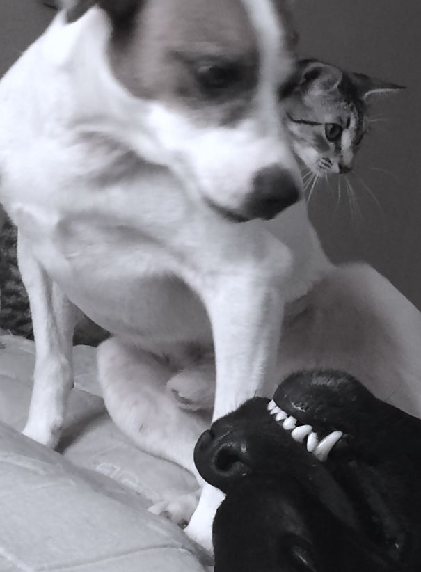 Look Mom... He's Hogging Up The Whole Bed Again!!!!