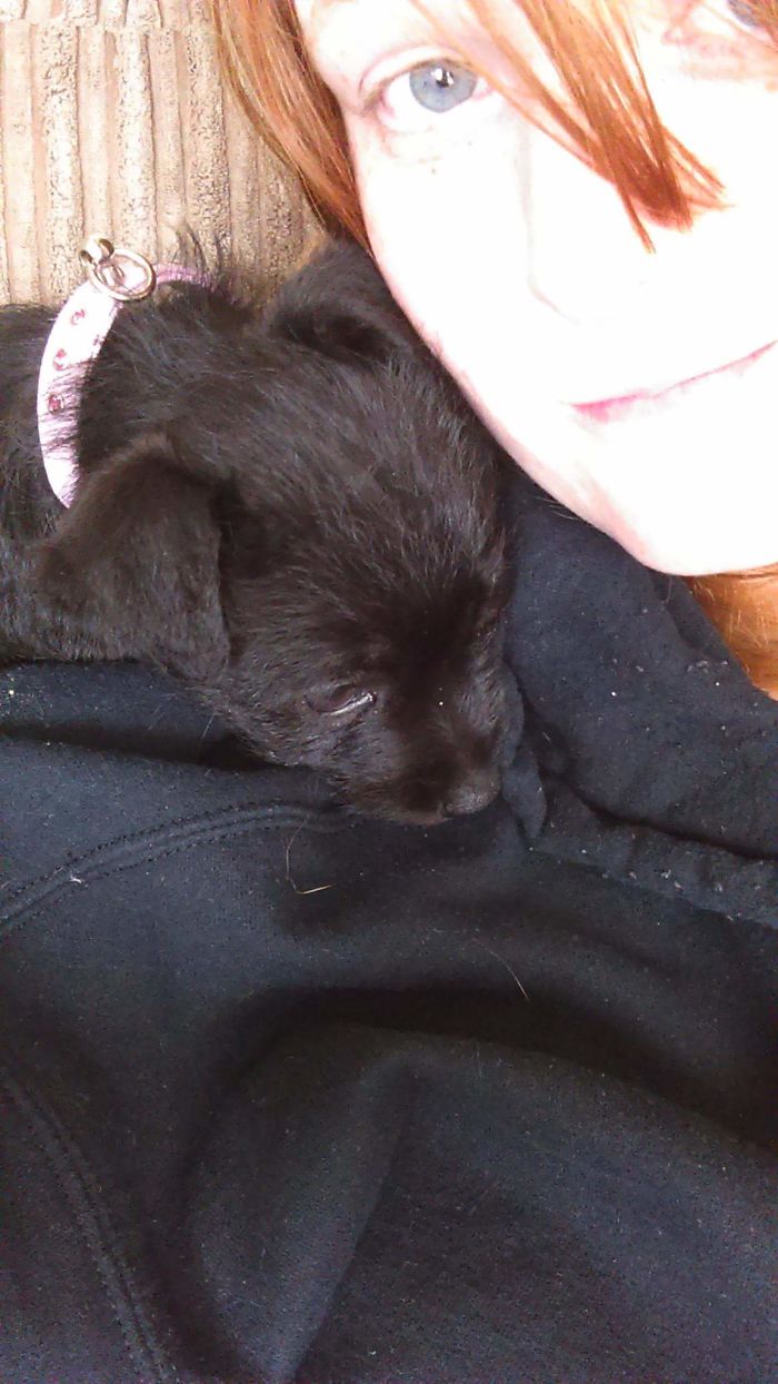 The Morning After We Brought Our Baby's Home Two And A Half Years Ago At 9 Weeks Old. Still Sits Like This Sometimes