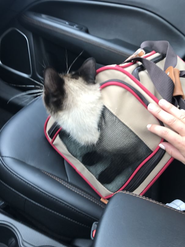 There Goes The New Carrier...