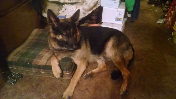 Harley..... Chilling!!!!!