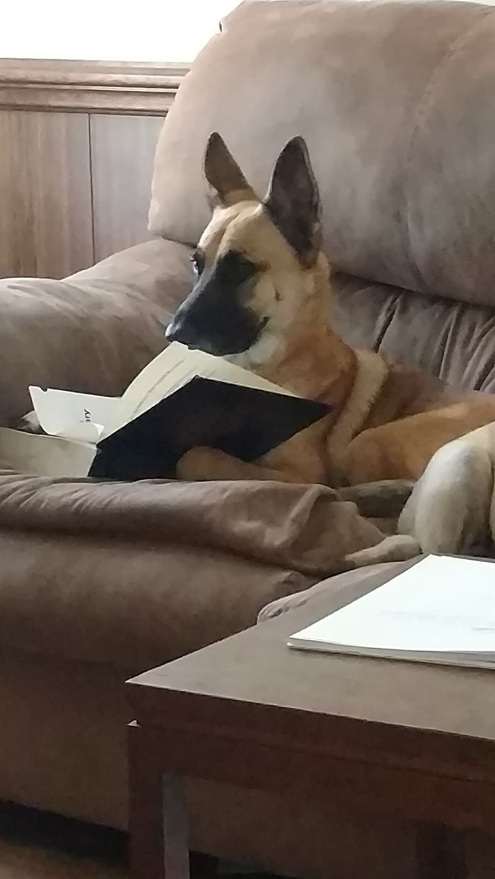 Learning Some Words From The Dictionary