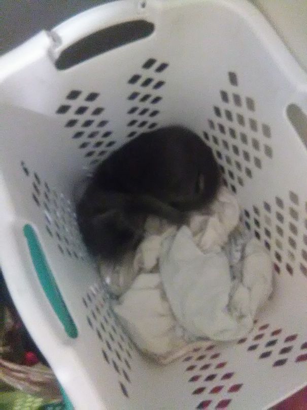 You Don't Need This, Tis My Bed Now.