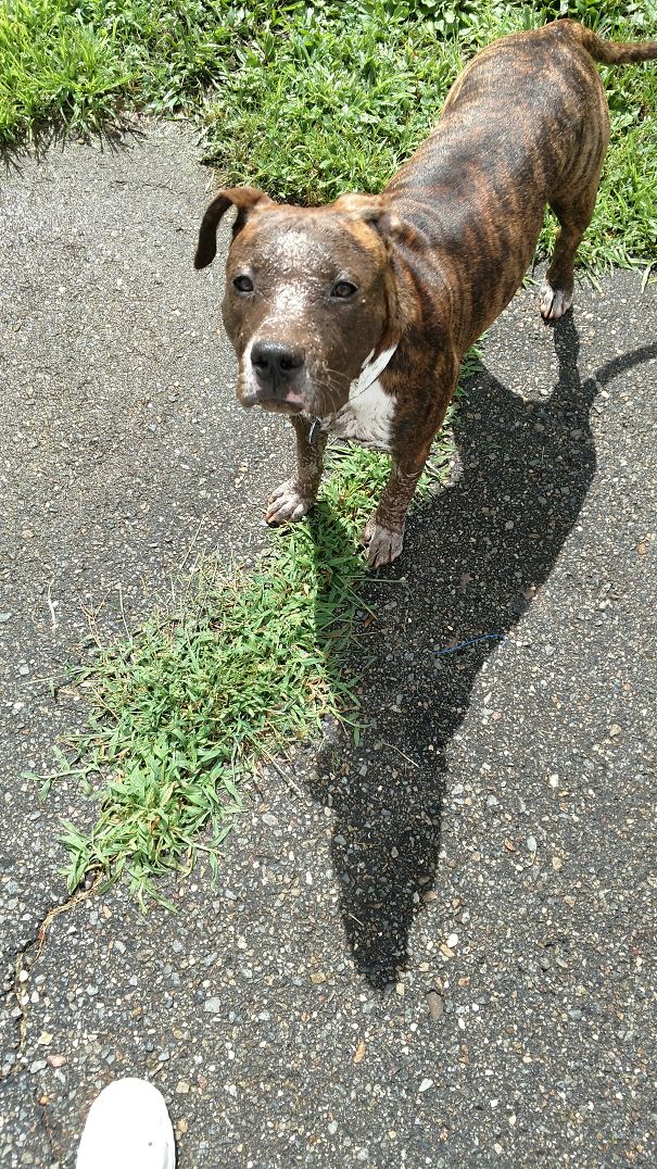 Thankfully I Stopped Her Before She Had A Full Mud Bath.