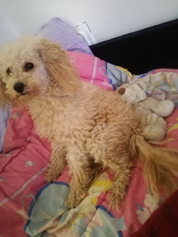 She Does Not Allow Me To Sleep With Others...