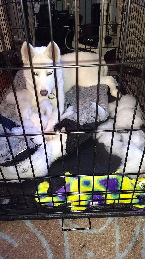 Thanks For The Exploding Bed.