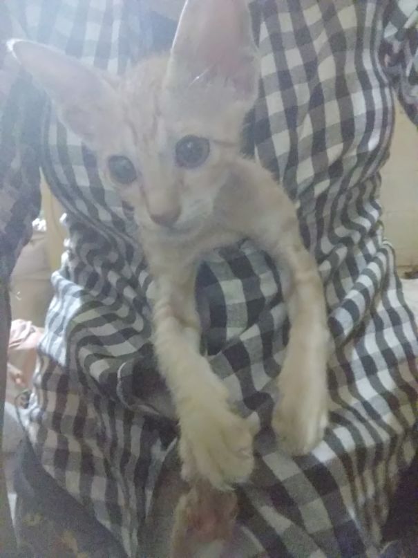 He Can Fit Anywhere 😂