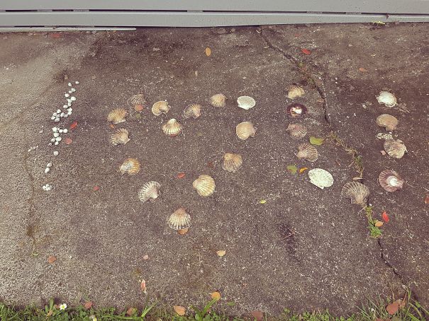 He Said It With Shells... Waiting For Me When I Got Home.